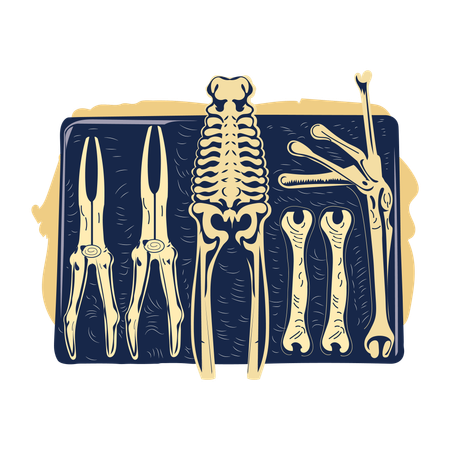 Bone Forceps  Illustration