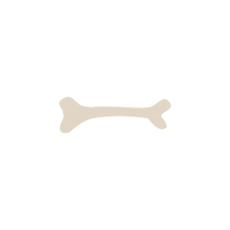 Bone of archeological finds and excavation  Illustration