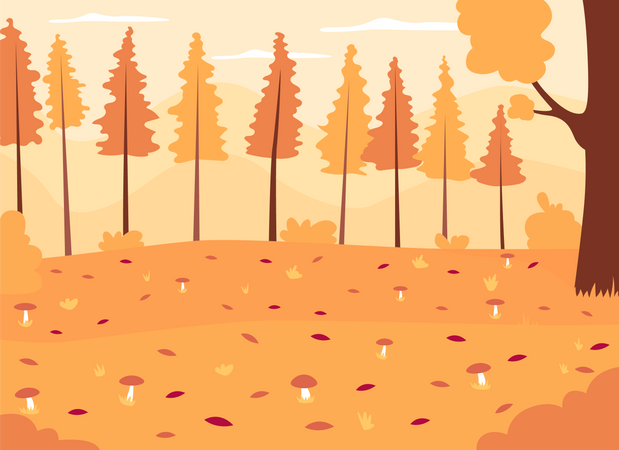 Florestas de outono  Ilustração