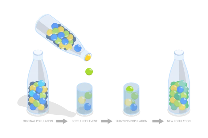 3 D Isometric Flat Vector Conceptual Illustration Of Bottleneck Effect Population Impact Illustration