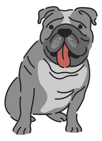 Bouledogue  Illustration