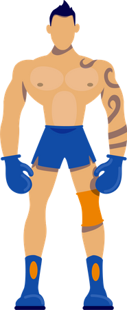 Boxer  Illustration