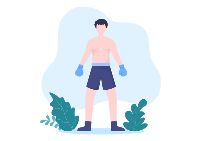 Boxer  Illustration