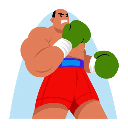 Boxing fighter  Illustration
