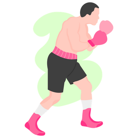 Boxspieler  Illustration