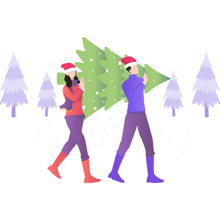 Boy and girl carrying Christmas tree  Illustration
