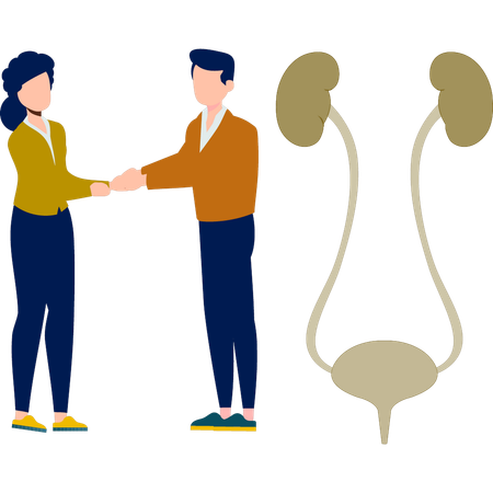 Boy and girl shaking hands to successfully build a project  Illustration