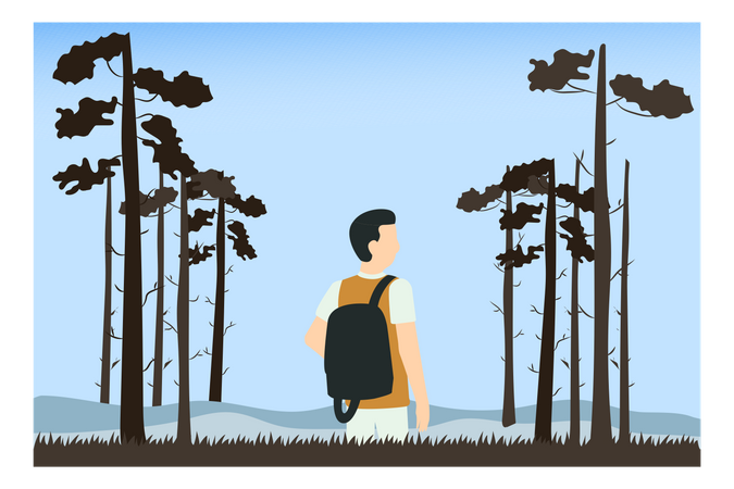 Boy Camping Into The Woods Illustration