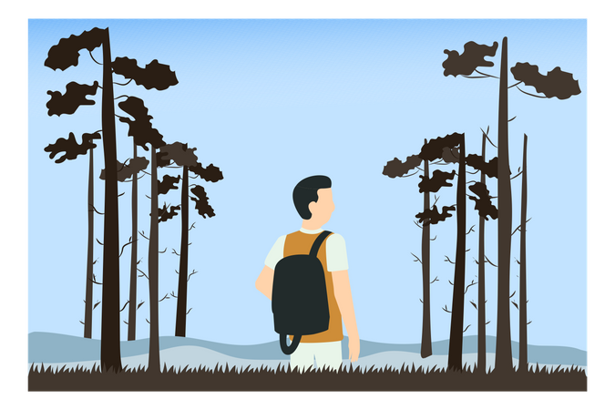 Boy Camping Into The Woods  Illustration