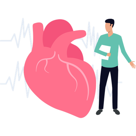 Boy checks up heart  Illustration