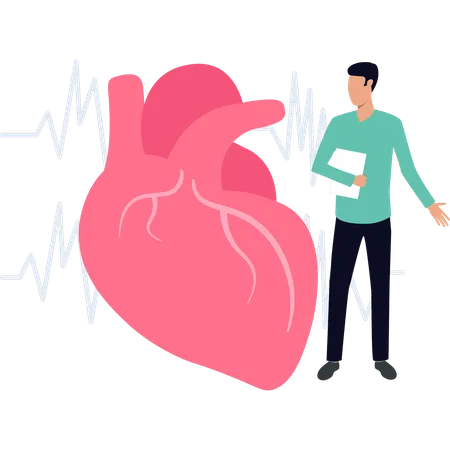 Boy checks up heart  Illustration