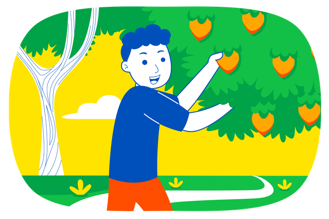 Boy collecting fruit from trees Illustration
