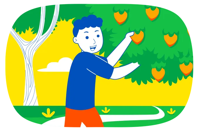 Boy collecting fruit from trees  Illustration