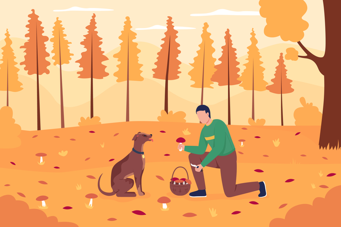 Boy collecting mushrooms during autumn Illustration