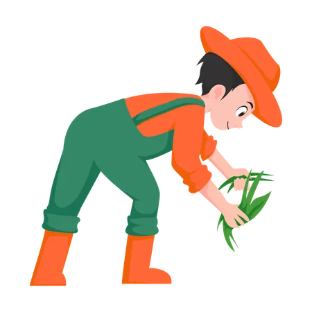 Boy doing farming  Illustration