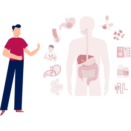 Boy explaining human digestive system  Illustration