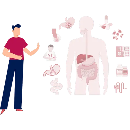 Boy explaining human digestive system  Illustration