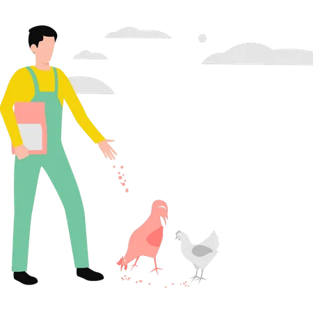 The Boy Is Feeding The Chickens Illustration