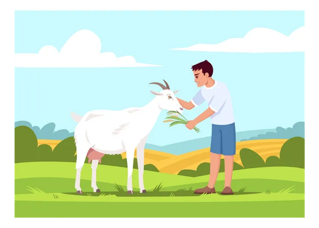 Boy feeding goat Illustration