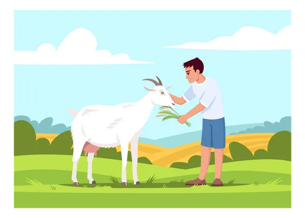 Boy feeding goat  Illustration