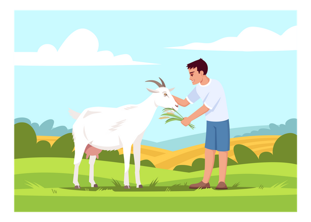 Boy feeding goat  イラスト