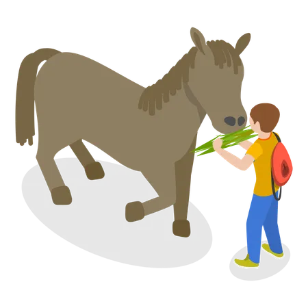 Boy feeding horse  Illustration
