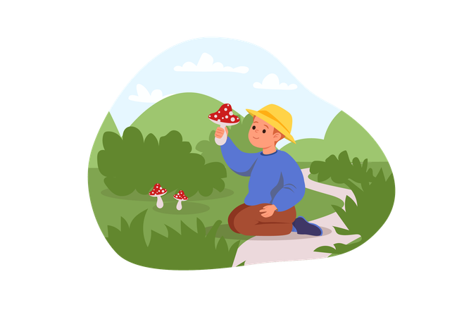 Boy found poisonous mushroom  Illustration