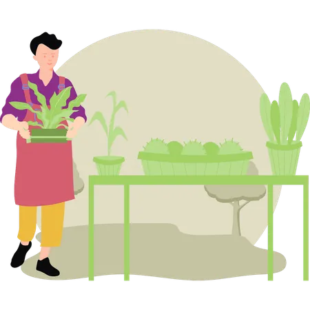 Boy holding a plant  Illustration