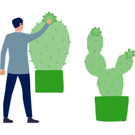 Boy holding cactus tree  Illustration