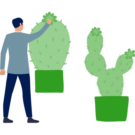 Boy holding cactus tree  Illustration