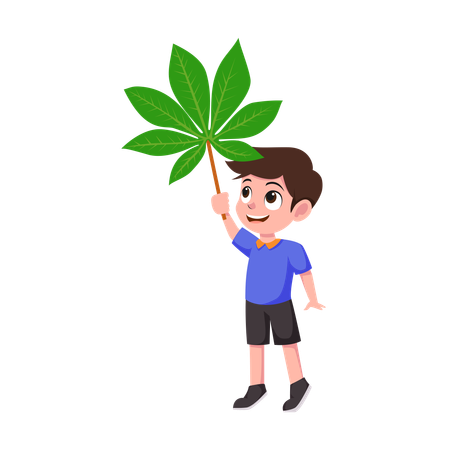 Boy holding giant cassava leaf  Illustration