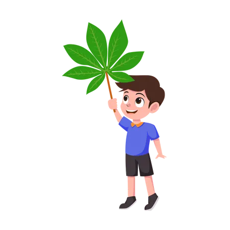 Boy holding giant cassava leaf  Illustration