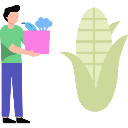 Boy holding vegetables bag Illustration