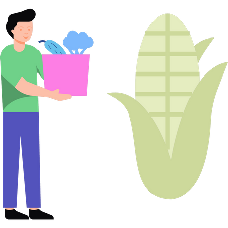 Boy holding vegetables bag  Illustration