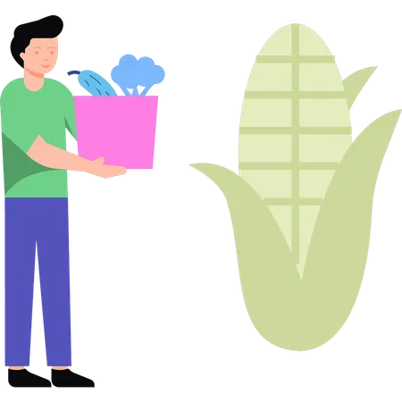 Boy holding vegetables bag  Illustration