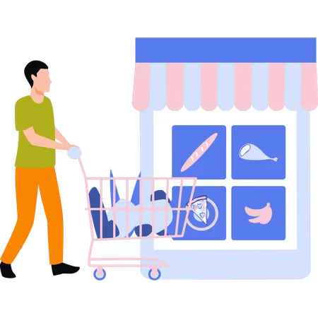 Boy is buying online grocery  Illustration