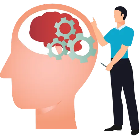 A Boy Is Explaining The Structure Of The Brains Memory Illustration