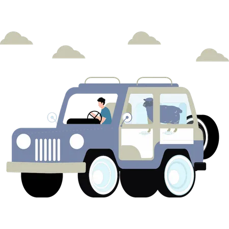 The Boy Is Going To Deliver The Sheep On The Jeep Illustration