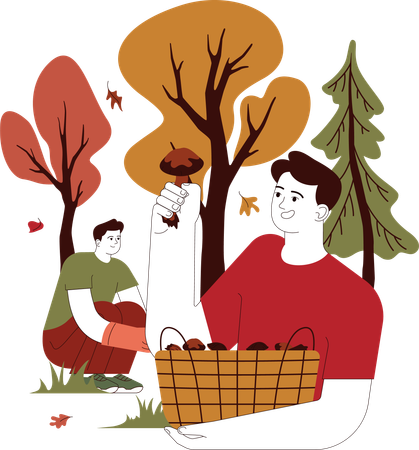 Boy is harvesting mushroom  Illustration
