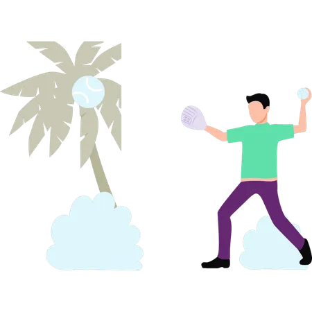 Boy is hitting coconut tree with ball  Illustration