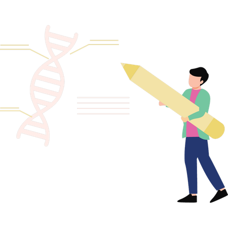 Boy is labeling the DNA molecule  Illustration