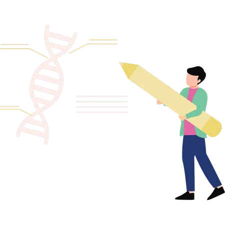 Boy is labeling the DNA molecule  Illustration