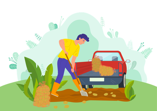 Boy is loading fruits in truck  Illustration