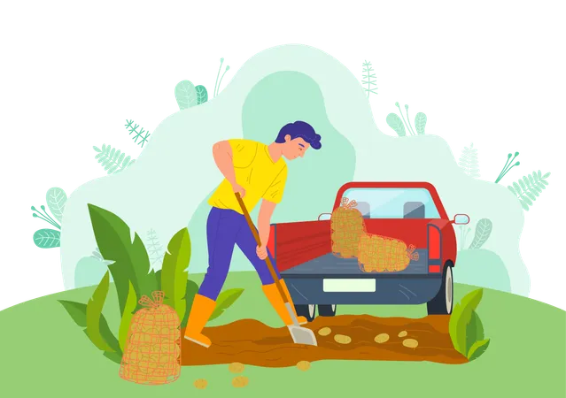 Boy is loading fruits in truck  Illustration