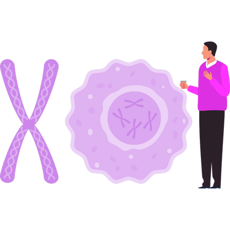 Boy is looking at the chromosomes  Illustration