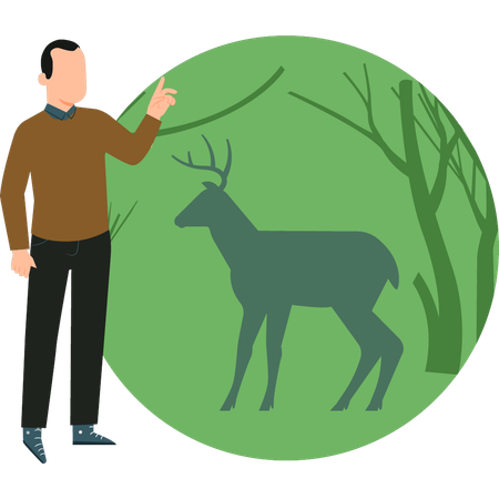 Boy is looking at the deer  Illustration