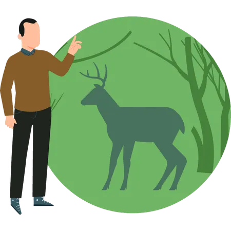 The Boy Is Looking At The Deer Illustration