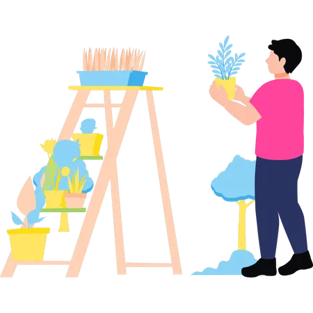 The Boy Is Putting Plants On Ladder Illustration