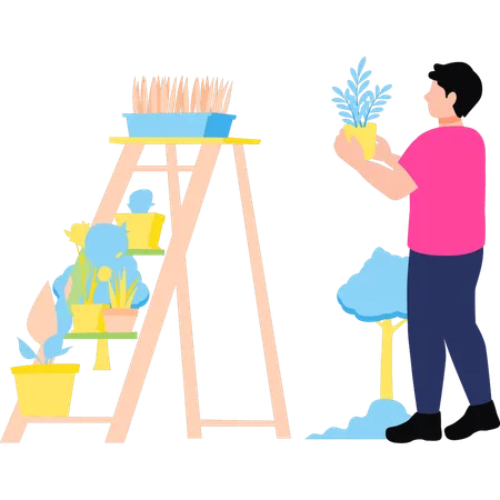 Boy is putting plants on ladder  Illustration