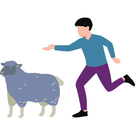 Boy is running towards sheep  Illustration